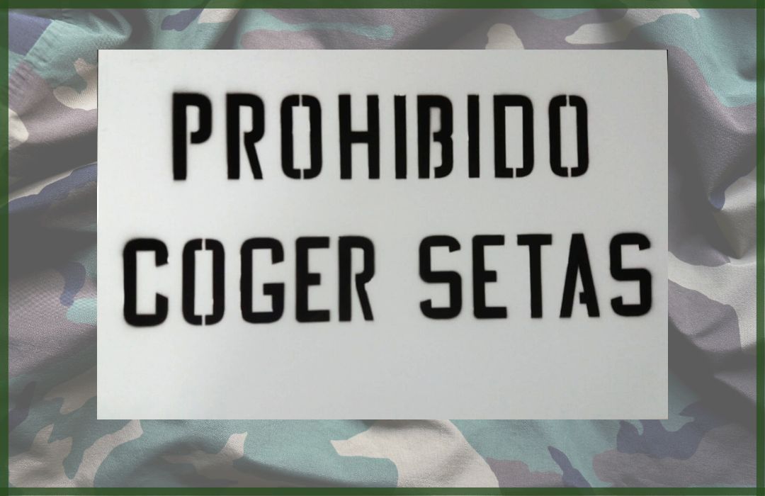 Tablilla personalizada prohibido coger setas