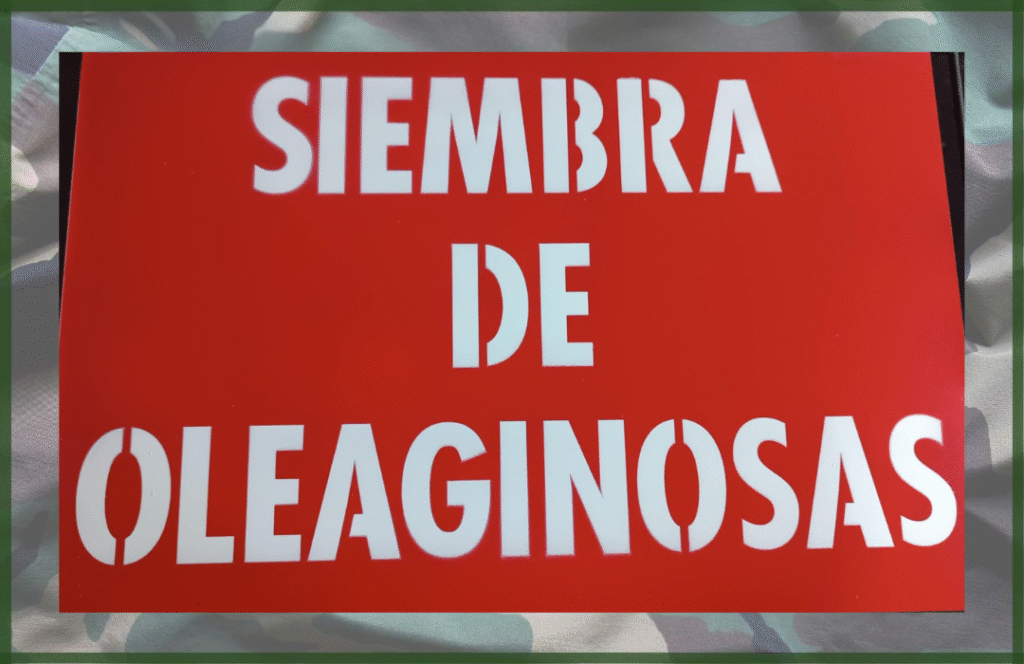 SEÑAL DE SIEMBRA DE OLEAGINOSAS