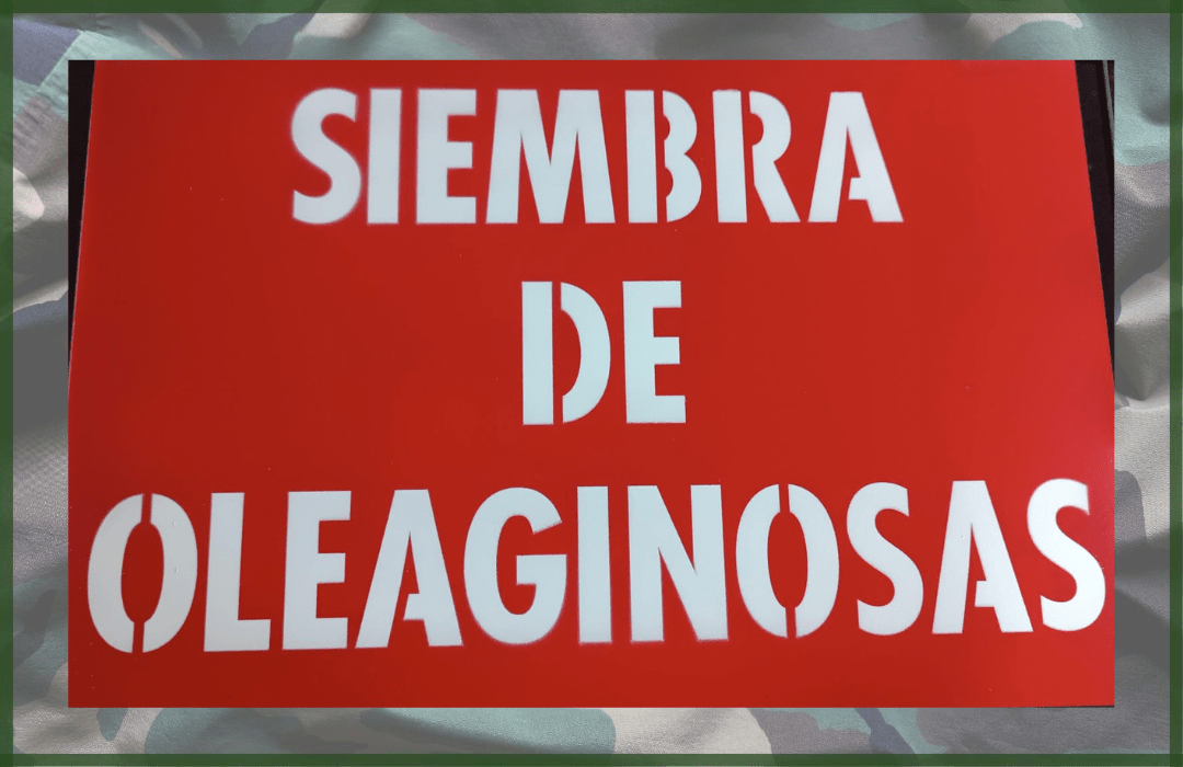 SEÑAL DE SIEMBRA DE OLEAGINOSAS